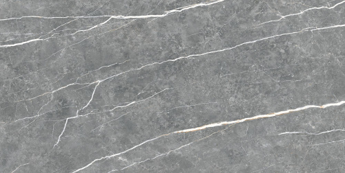 Керамогранит TAU Ceramica Elite Graphite Matt 60x120