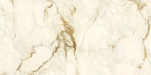 Керамогранит Ariostea Marmi Classici P612575R10 Calacatta Macchia Vecchia Naturale 60х120 фото