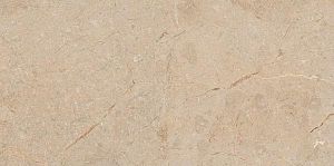 Керамогранит Art&Natura Una Pietra Nordix Camel Glossy 60x120 фото