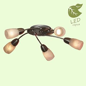 Накладная люстра Lussole GRLSQ-6907-05 фото