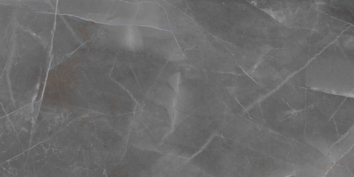 BIEN Turin Grey 120x60 серый полированная фото 4