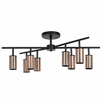 Люстра на штанге Lightstar LR728308 фото