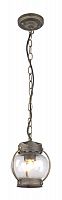 Подвесной уличный светильник Favourite 1498-1P фото