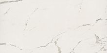 Kutahya Albatros Parlak Nano Rec.Polished 120x240 фото