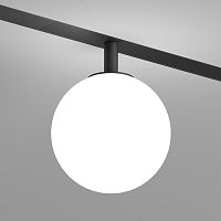 Светильник на шине Denkirs DK8050-BK фото