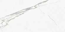 Керамогранит Ariostea Marmi Classici P612516 Statuario Classico Soft 120x60 фото