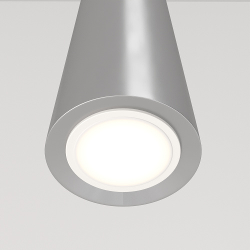 Подвесной светильник Maytoni Technical P318-PL-01-N фото 4