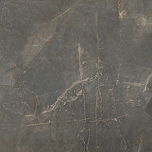 BIEN Arch Grey 60x60 серый полированная фото