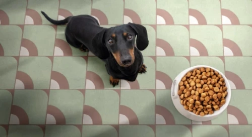 Керамогранит ABK PF60017139 14oraitaliana Fan Nat. Rett 60х60 фото 2