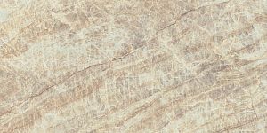 Керамогранит 610015000617 Empire Tajmahal Rett Lapp 60x120 фото