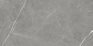 Керамогранит 610015000657 Forte dei Marmi Elegant Grey Rett Cer 60x120 фото