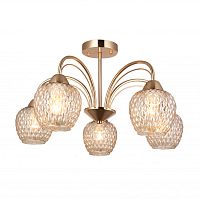 Люстра на штанге F-Promo 2541-5U фото