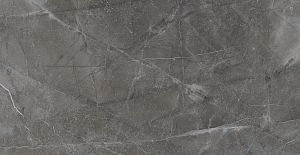 BIEN Turin Grey 120x60 серый полированная фото