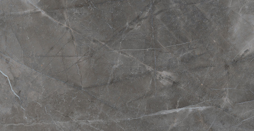 BIEN Turin Grey 120x60 серый полированная