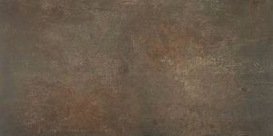STN M.C.Jasper Oxido Rect. 60x120 фото
