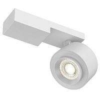 Спот Maytoni Technical C062CL-L12W3K фото