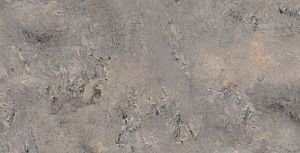 Керамогранит Ardesia Gris 32x62.5 фото