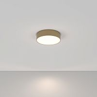Потолочный светильник Maytoni Technical C032CL-L32MG4K фото