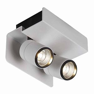 Спот Mantra 5720 фото