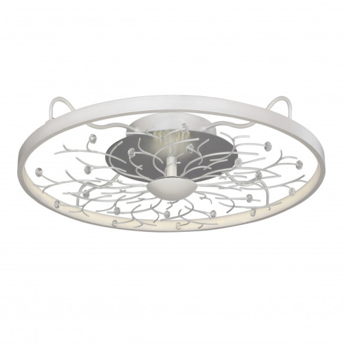 Накладной светильник Favourite 2533-6C