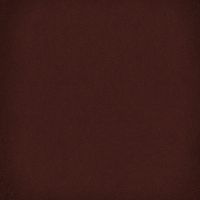 Керамогранит 1900 - 20x20 Chocolate g.136 фото