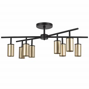 Люстра на штанге Lightstar LR728408 фото