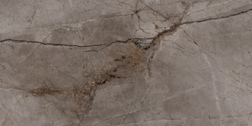 BIEN Root Ash 120x60 серый полированная фото 5