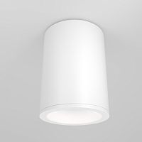 Потолочный светильник Maytoni Technical C029CL-01W фото