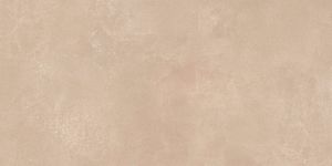 Керамогранит Imola Ceramica Retina RTN6 Terra12 RM 60x120 фото