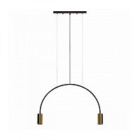 Подвесной светильник LOFT IT 5043-2 фото