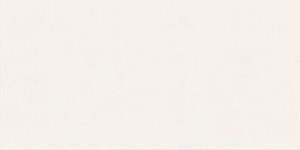 Керамогранит ABK PF60008228 Wide&Style Mini Snow Ret 60х120 фото