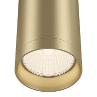 Потолочный светильник Maytoni Technical C010CL-01MG фото