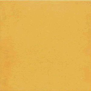 Керамогранит 1900 - 20x20 Amarillo g.136 фото