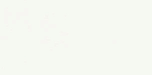 Керамогранит Ariostea Marmi Classici PL612554 Thassos Lucidato 60x120 фото