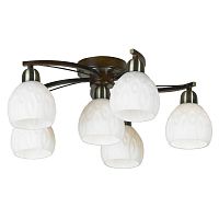 Накладная люстра Lussole LSP-0045 фото