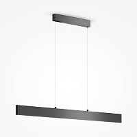 Подвесной светильник Maytoni Technical P010PL-L30B4K фото
