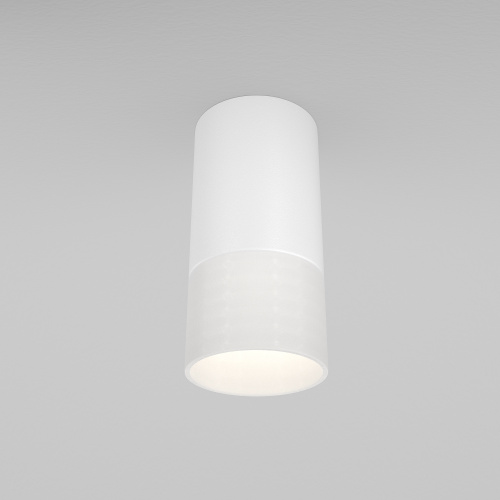 Потолочный светильник Maytoni Technical C007CW-01W