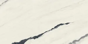 Керамогранит 610010002709 Forte dei Marmi Panda White Rett 80x160 фото