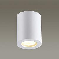 Влагозащищенный светильник Odeon Light 3571/1C фото