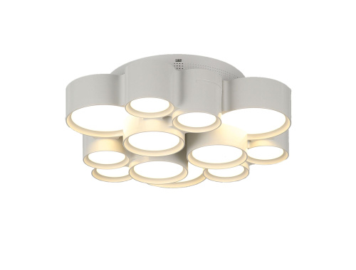 Потолочный светильник Freya FR6043CL-L30W фото 2