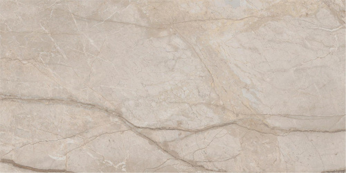 Керамогранит Italon Stellaris 610015000680 Elegant Silver Lap 60х120