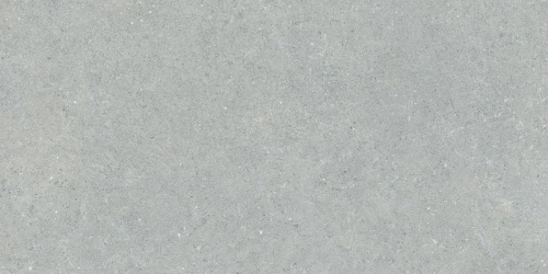 Керамогранит Tilezza Coral Grigio Chiaro 60х120