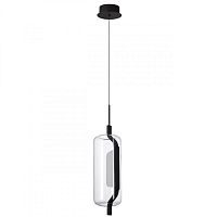 Подвесной светильник Odeon Light 5003/10L фото