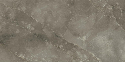 Керамогранит Italon Stellaris 610010002843 Tuscania Grey Nat 80х160