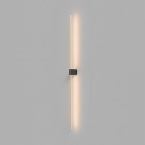 Настенный светильник (бра) Maytoni Technical C071WL-L12GB3K фото