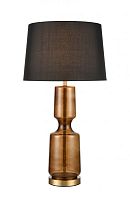 Настольная лампа Vele Luce VL5774N21 фото