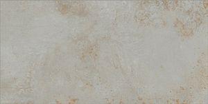 Керамогранит Grespania Distrito 44DS39R Aluminio R10 60x120 фото