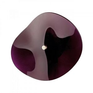 Бра Odeon Light 4857/5WL фото