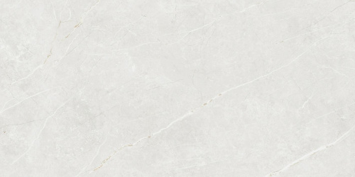 Керамогранит TAU Ceramica Elite White Matt 60x120