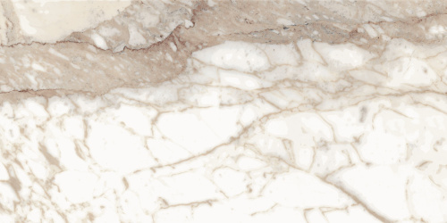 BIEN Calacatta Oro 120x60 бежевый полированная фото 9